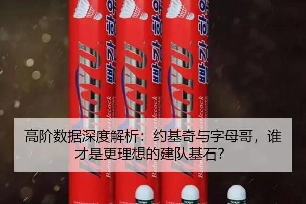 高阶数据深度解析：约基奇与字母哥，谁才是更理想的建队基石？